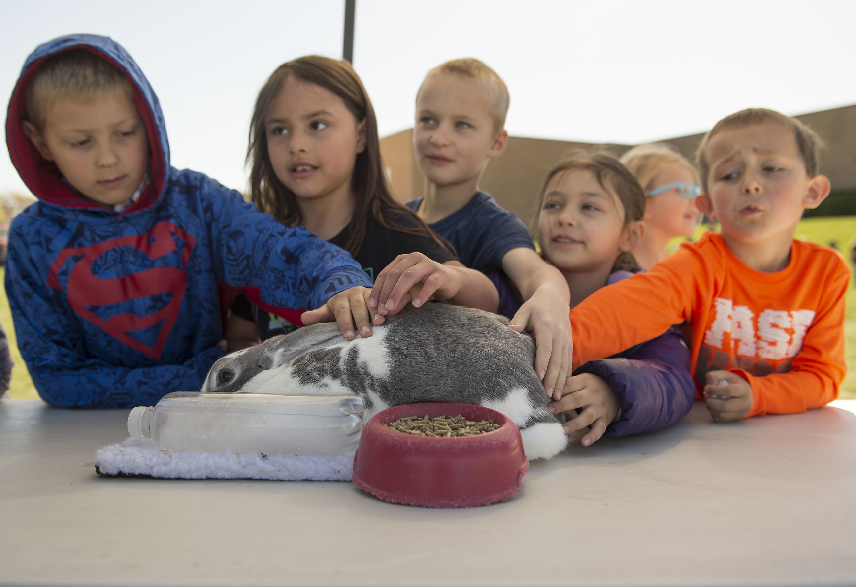 Ag day at I.B. Perrine Elementary